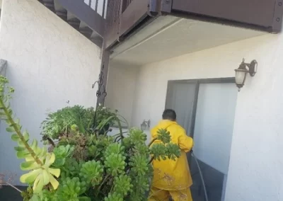 Dependable Exterior and Window Washing Services