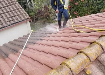 Exceptional Exterior and Window Washing Services