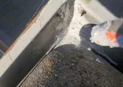 Experienced Exterior and Window Washing Services