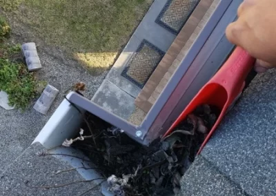 Exterior and Gutter Cleaning Services