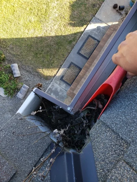 Gutter Cleaning 