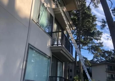 Proven Exterior and Window Washing Services