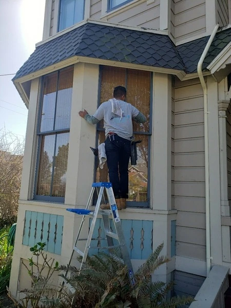 Outdoor Window Cleaning 