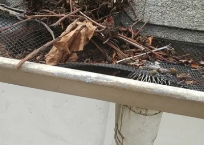 Trustworthy Exterior and Window Washing Services